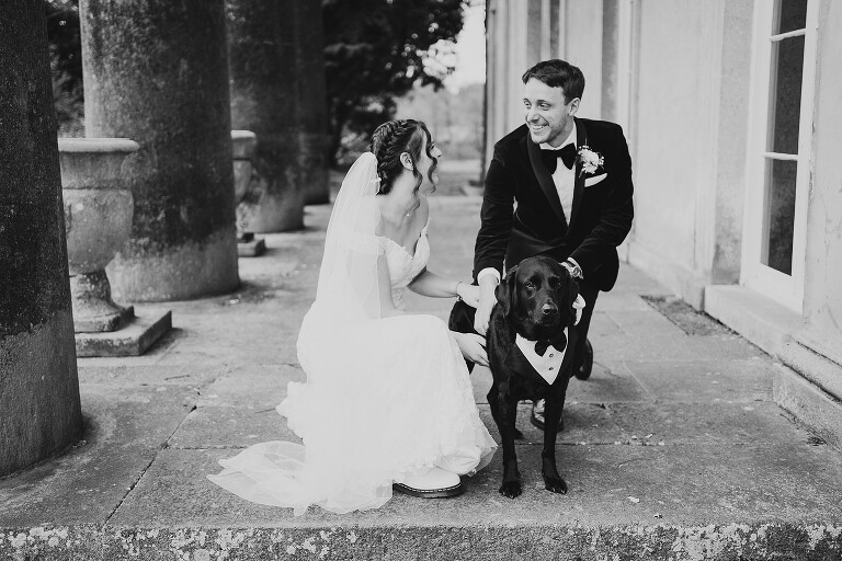 Dogs at Wedding Photography 3